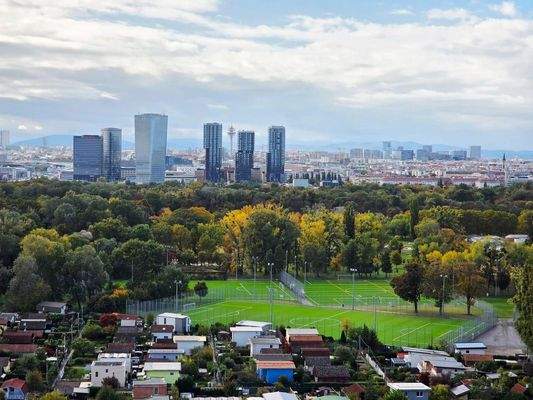 Blick Außenfläche 2