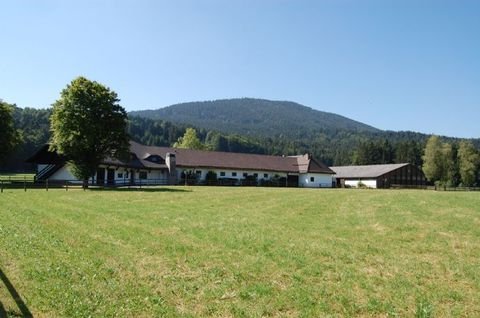 Haus kaufen in Miesbach bei immowelt.de
