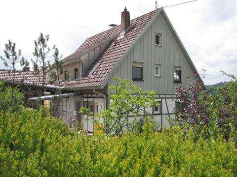 Nagold Wohnungen, Nagold Wohnung mieten