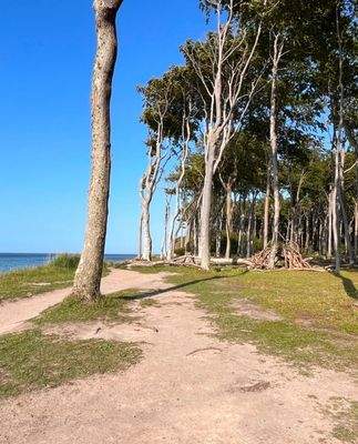 Strandumgebung.jpg