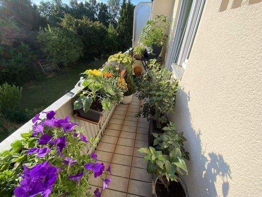 Wohnung Obergeschoss