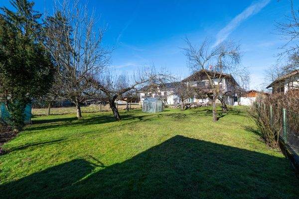 Traumhafter Garten mit altem Baumbestand