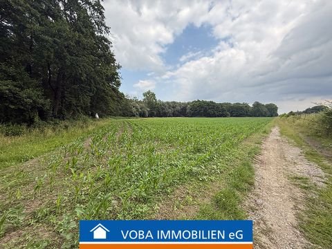 Kerken Bauernhöfe, Landwirtschaft, Kerken Forstwirtschaft