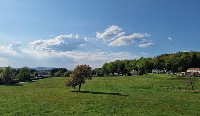 Blick vom Grundstück Richtung Keulenberg