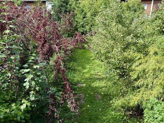 Blick vom Balkon auf den Garten mit Obstbäumen