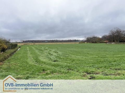 Bunde Bauernhöfe, Landwirtschaft, Bunde Forstwirtschaft