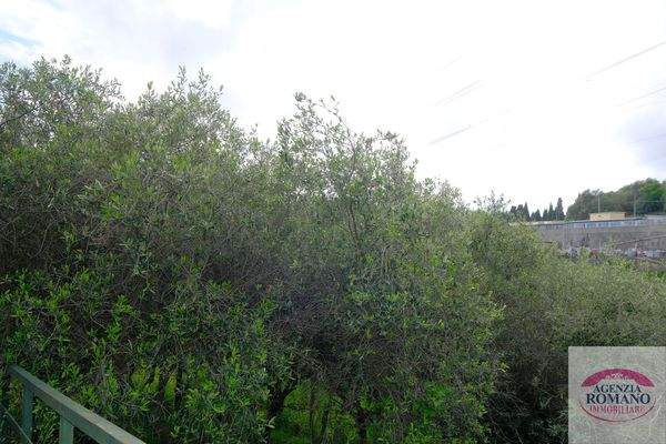 Rif 1462(Copy30).jpg