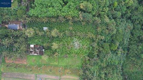 Puhu, Kecamatan Payangan Grundstücke, Puhu, Kecamatan Payangan Grundstück kaufen