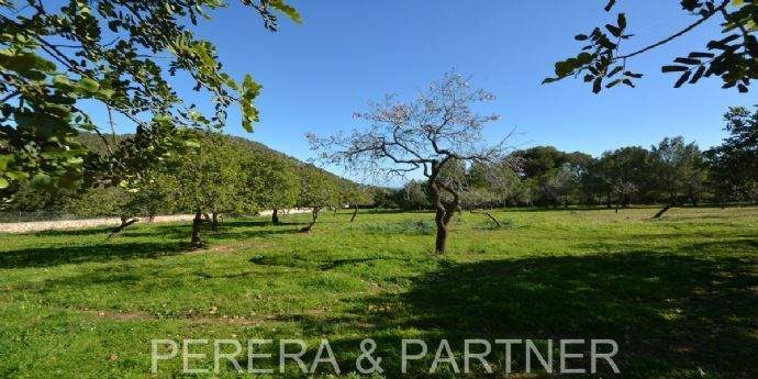 15---Aussenbereich-Ia