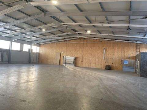 Vilshofen Halle, Vilshofen Hallenfläche