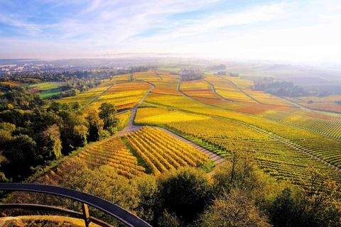 Leingarten Häuser, Leingarten Haus kaufen