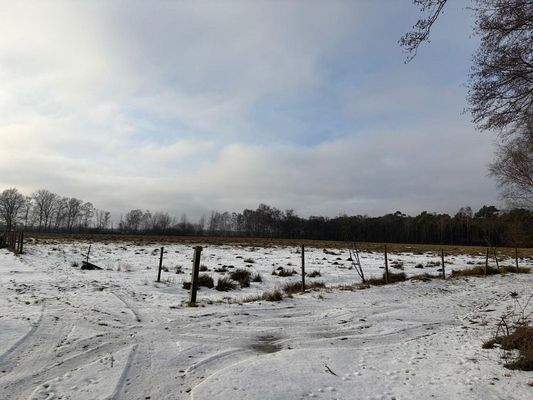 Hesterberg_Flur15_Flstk42