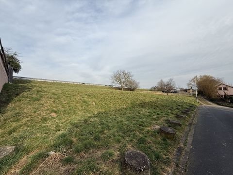 Esselbach Grundstücke, Esselbach Grundstück kaufen