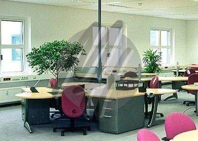 INFOS UNTER: 06171-586000