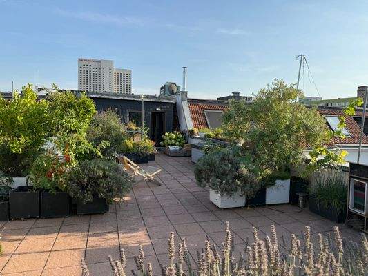 Oase im Zentrum der Stadt