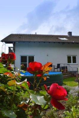 Ansicht mit Pool.jpg