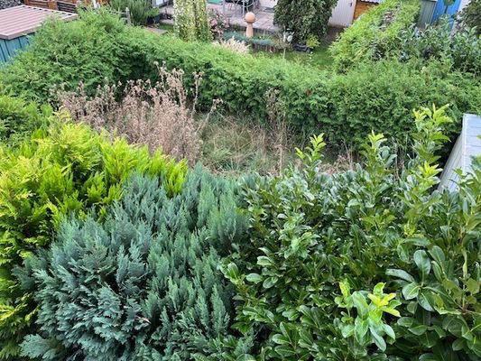 Blick in den Garten vom Balkon