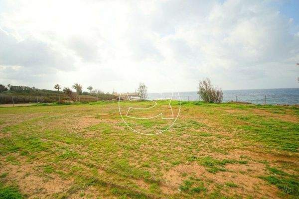 Wunderschönes Objekt