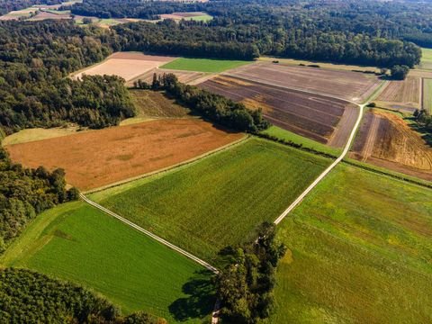 Dengling Bauernhöfe, Landwirtschaft, Dengling Forstwirtschaft