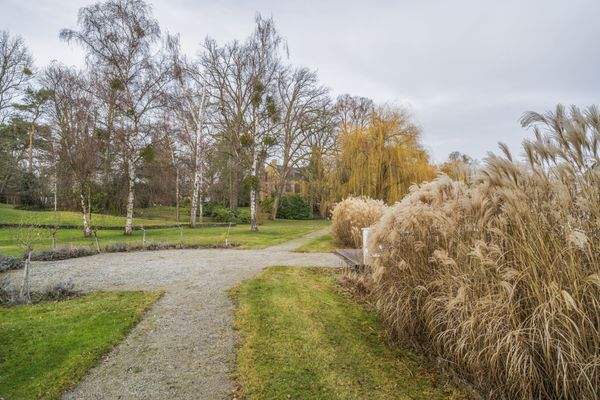 Blick in die Gartenanlage