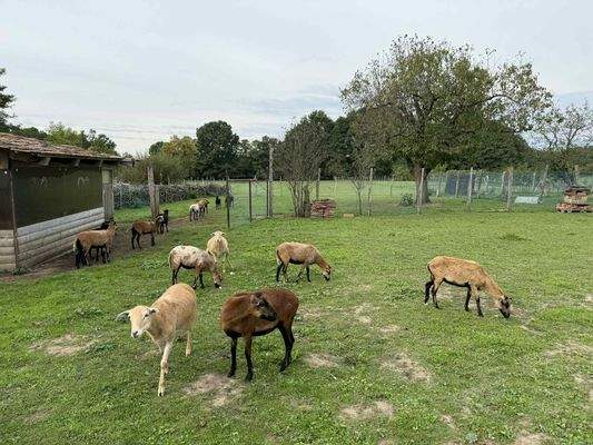 att.l8CDgrnSSO-iGn2pqyDT_2SiPgqmKjRVjIFMx-Gbt3I.JP