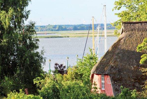 Blick auf Borner Hafen