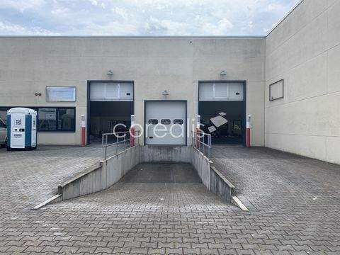 Mönchengladbach Halle, Mönchengladbach Hallenfläche