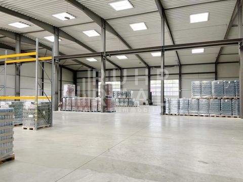 Nettetal Halle, Nettetal Hallenfläche