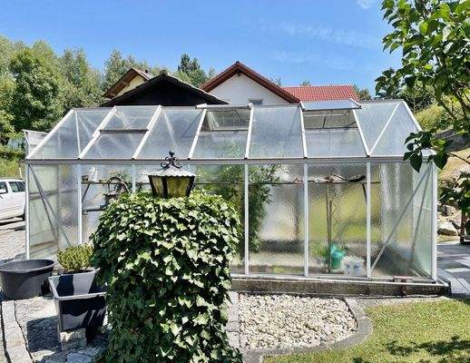 Gewächshaus.jpg