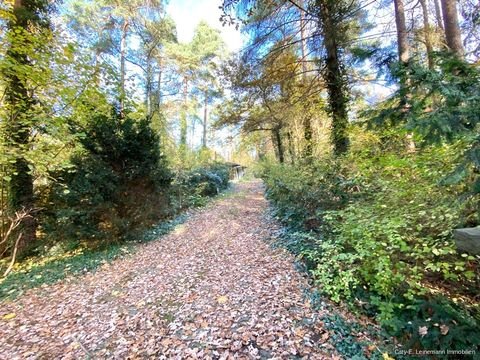 Wedemark / Bissendorf-Wietze Grundstücke, Wedemark / Bissendorf-Wietze Grundstück kaufen