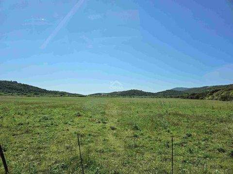 Vis Bauernhöfe, Landwirtschaft, Vis Forstwirtschaft