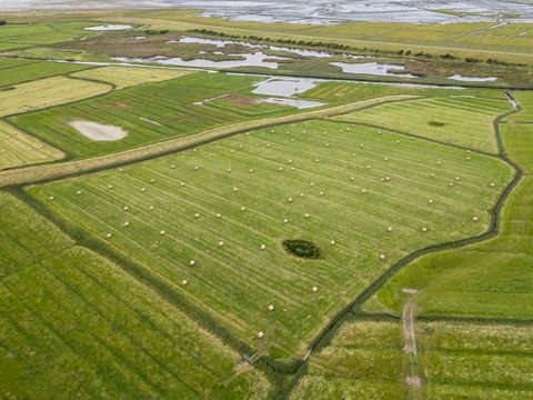 Sankt Peter-Ording Bauernhöfe, Landwirtschaft, Sankt Peter-Ording Forstwirtschaft