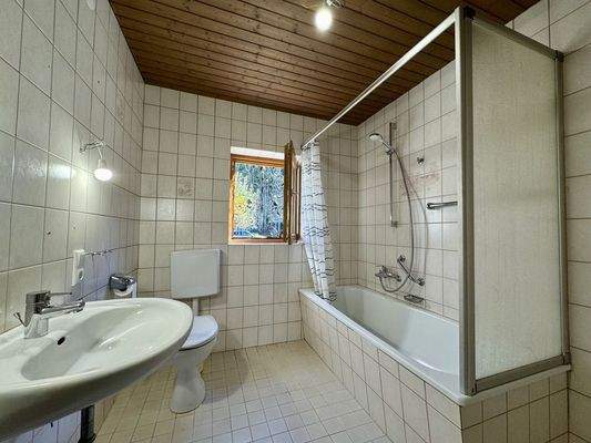 Alpen-Immo_Neuhaus(09)