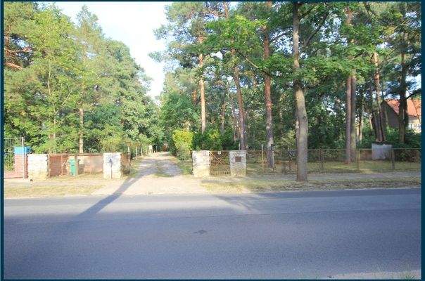 1917 Strassenansicht mit Zufahrt.jpg