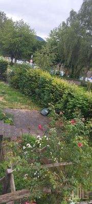 WhatsApp Image 2026-03-19 at 10.27.55 (2)