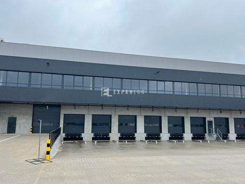 Korschenbroich Halle, Korschenbroich Hallenfläche