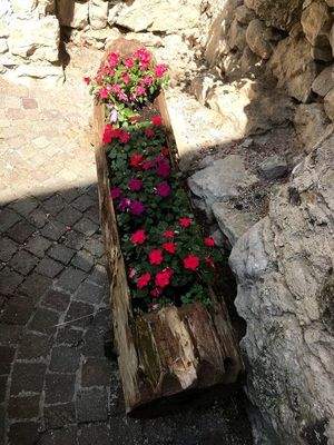 ETW in Tenno -Calvola (8).jpg