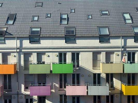 Blick aus dem Küchenfenster