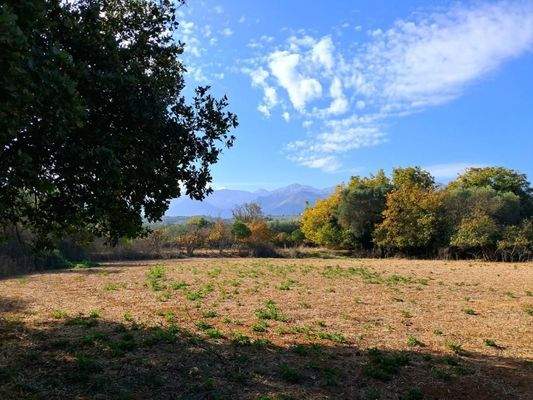 Kreta, Armeni: Erstklassiges Baugrundstück mit Bergblick, Obstgarten und Strandnähe