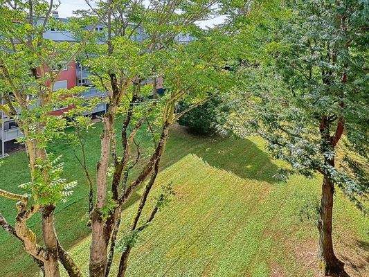 Blick Gemeinschaftsgarten