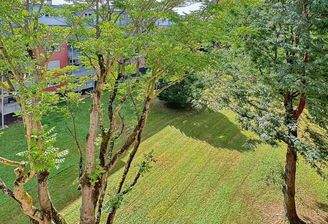 Blick Gemeinschaftsgarten