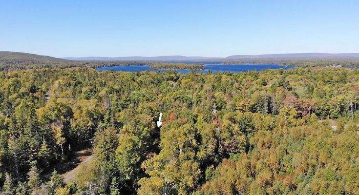 Cape Breton - Bras d`Or Lake - Tolles See-Ufergrun