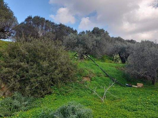 Kreta, Kato Episkopi: Traditionelles neu gebautes Steinhaus zum Verkauf