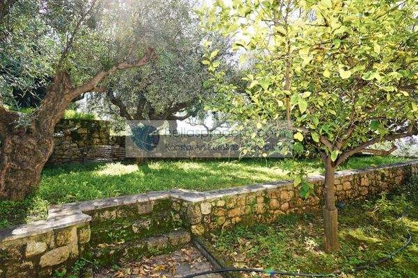 2d560b617bc04cc28cbd3add125005b9-original