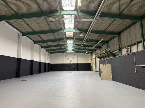 Berlin Halle, Berlin Hallenfläche