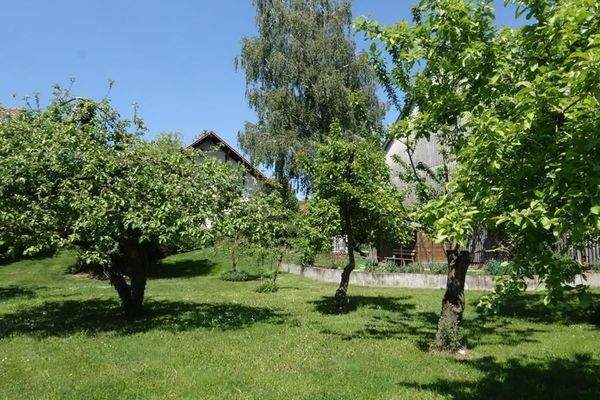 angrenzende Obstwiese.JPG