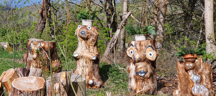 Screenshot 2026-02-05 at 11-47-11 Gartenanlage Hotel Schneiderhof (Hohegeiß) • HolidayCheck (Niedersachsen Deutschland).png