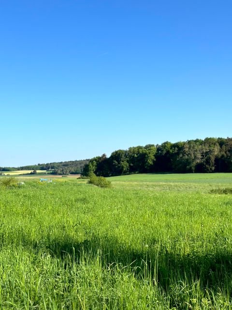 Seubersdorf in der Oberpfalz Häuser, Seubersdorf in der Oberpfalz Haus kaufen