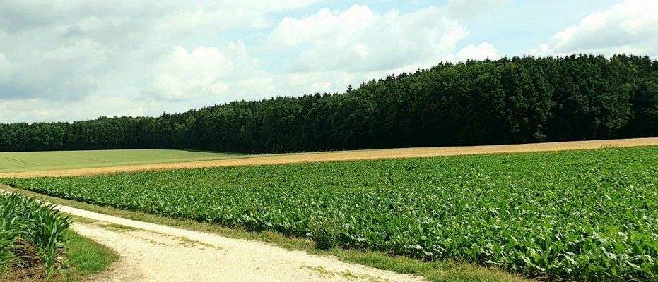 Flächenbild zum Angebot Nr. 5367