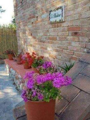 Antike Mühle mit Bachzugang Toskana Rustico (20)